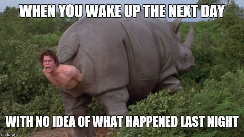 Hangover | WHEN YOU WAKE UP THE NEXT DAY WITH NO IDEA OF WHAT HAPPENED LAST NIGHT | image tagged in rhino,jim carrey,ace ventura,hangover | made w/ Imgflip meme maker