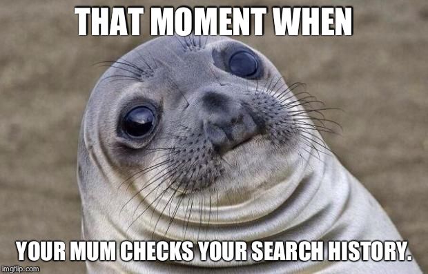Awkward Moment Sealion Meme | THAT MOMENT WHEN YOUR MUM CHECKS YOUR SEARCH HISTORY. | image tagged in memes,awkward moment sealion | made w/ Imgflip meme maker