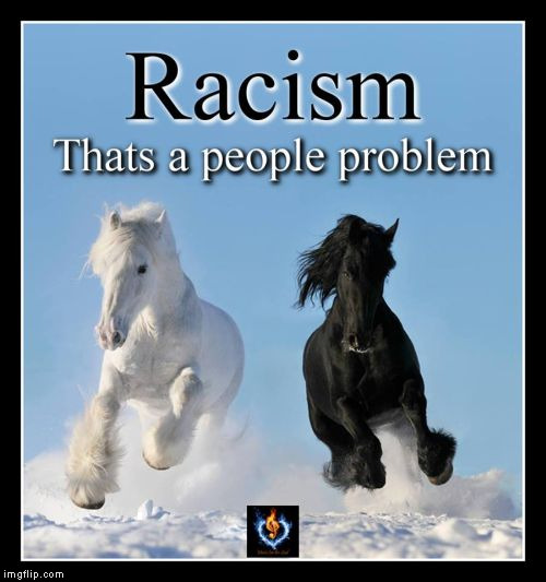 so true | ' | image tagged in racism | made w/ Imgflip meme maker