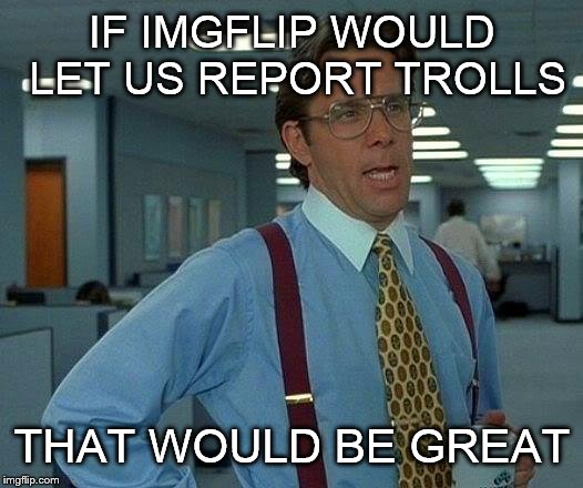That Would Be Great Meme | IF IMGFLIP WOULD LET US REPORT TROLLS THAT WOULD BE GREAT | image tagged in memes,that would be great | made w/ Imgflip meme maker