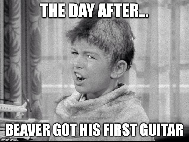 Rod Lee | THE DAY AFTER... BEAVER GOT HIS FIRST GUITAR | image tagged in rock stars,punk | made w/ Imgflip meme maker
