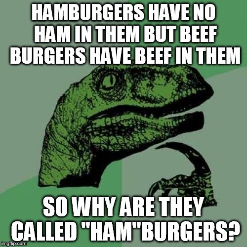 Philosoraptor | HAMBURGERS HAVE NO HAM IN THEM BUT BEEF BURGERS HAVE BEEF IN THEM SO WHY ARE THEY CALLED "HAM"BURGERS? | image tagged in memes,philosoraptor | made w/ Imgflip meme maker