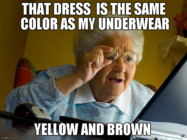 Grandma Finds The Internet Meme | THAT DRESS  IS THE SAME COLOR AS MY UNDERWEAR YELLOW AND BROWN | image tagged in memes,grandma finds the internet | made w/ Imgflip meme maker