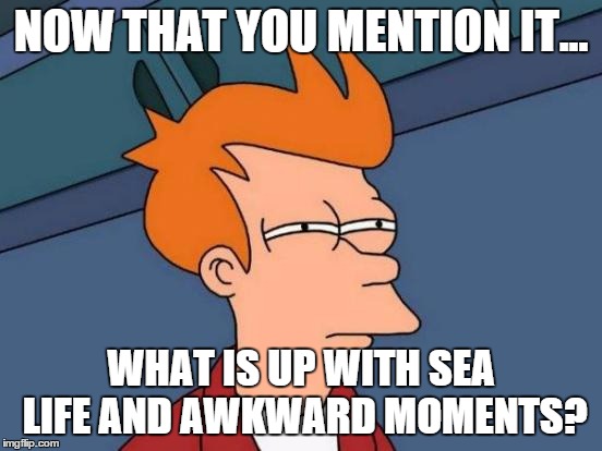 Futurama Fry Meme | NOW THAT YOU MENTION IT... WHAT IS UP WITH SEA LIFE AND AWKWARD MOMENTS? | image tagged in memes,futurama fry | made w/ Imgflip meme maker