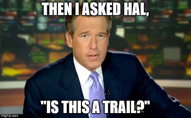 Brian Williams Was There Meme | THEN I ASKED HAL, "IS THIS A TRAIL?" | image tagged in memes,brian williams was there | made w/ Imgflip meme maker