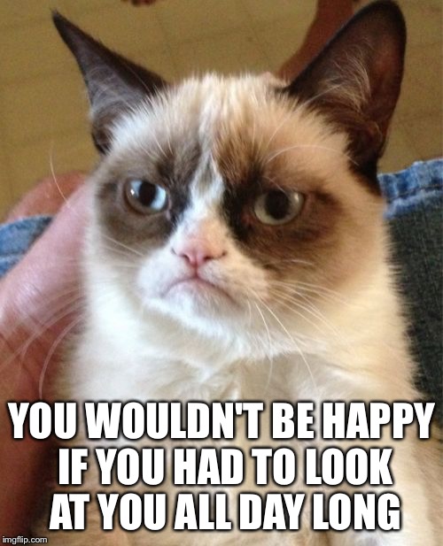 Grumpy Cat Meme | YOU WOULDN'T BE HAPPY IF YOU HAD TO LOOK AT YOU ALL DAY LONG | image tagged in memes,grumpy cat | made w/ Imgflip meme maker
