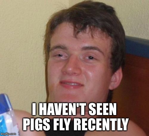 10 Guy Meme | I HAVEN'T SEEN PIGS FLY RECENTLY | image tagged in memes,10 guy | made w/ Imgflip meme maker