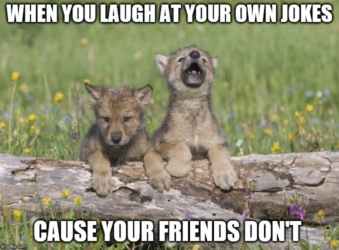 Me on the daily | WHEN YOU LAUGH AT YOUR OWN JOKES CAUSE YOUR FRIENDS DON'T | image tagged in memes,unfunny,animals,bad joke,sorry,poop | made w/ Imgflip meme maker