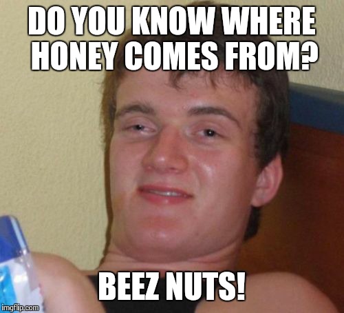 10 Guy | DO YOU KNOW WHERE HONEY COMES FROM? BEEZ NUTS! | image tagged in memes,10 guy | made w/ Imgflip meme maker