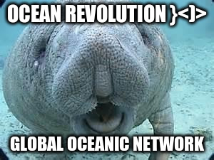 sea cow | OCEAN REVOLUTION }<)> GLOBAL OCEANIC NETWORK | image tagged in sea cow | made w/ Imgflip meme maker