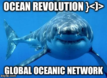 sharks | OCEAN REVOLUTION }<)> GLOBAL OCEANIC NETWORK | image tagged in sharks | made w/ Imgflip meme maker