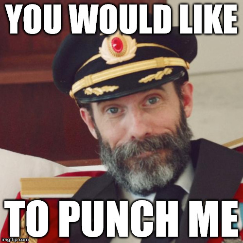 Captain Obvious | YOU WOULD LIKE TO PUNCH ME | image tagged in captain obvious | made w/ Imgflip meme maker