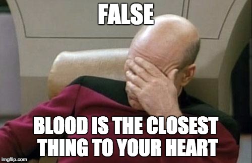 Captain Picard Facepalm Meme | FALSE BLOOD IS THE CLOSEST THING TO YOUR HEART | image tagged in memes,captain picard facepalm | made w/ Imgflip meme maker