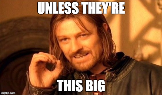 One Does Not Simply Meme | UNLESS THEY'RE THIS BIG | image tagged in memes,one does not simply | made w/ Imgflip meme maker