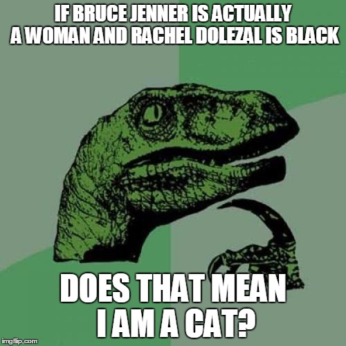 Philosoraptor | IF BRUCE JENNER IS ACTUALLY A WOMAN AND RACHEL DOLEZAL IS BLACK DOES THAT MEAN I AM A CAT? | image tagged in memes,philosoraptor | made w/ Imgflip meme maker