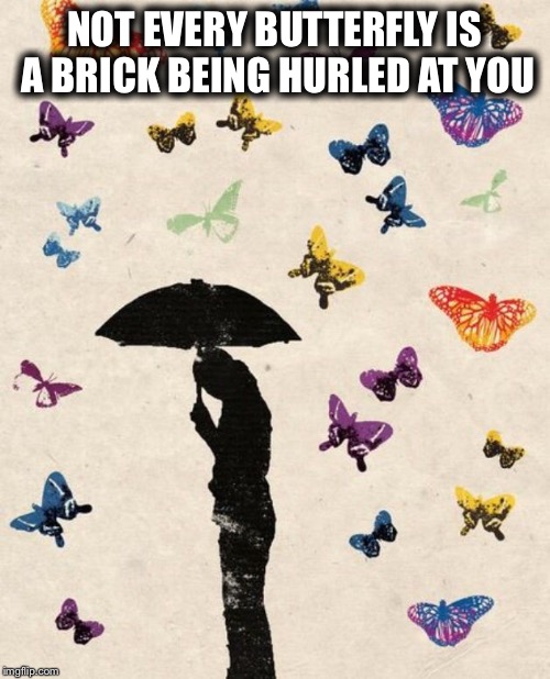 NOT EVERY BUTTERFLY IS A BRICK BEING HURLED AT YOU | image tagged in overly anxious crylady | made w/ Imgflip meme maker