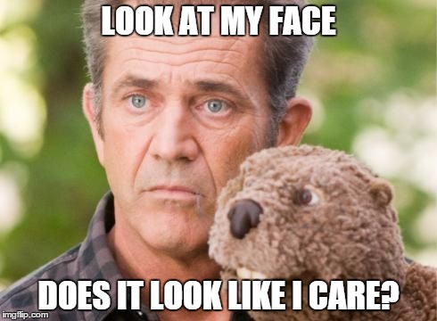 LOOK AT MY FACE DOES IT LOOK LIKE I CARE? | image tagged in does it look like i care | made w/ Imgflip meme maker