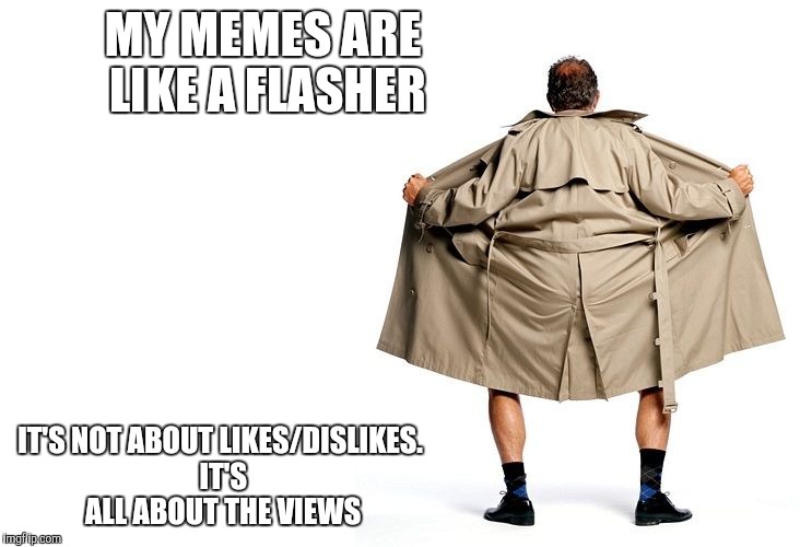 MY MEMES ARE LIKE A FLASHER IT'S NOT ABOUT LIKES/DISLIKES. IT'S ALL ABOUT THE VIEWS | image tagged in meme,flasher | made w/ Imgflip meme maker