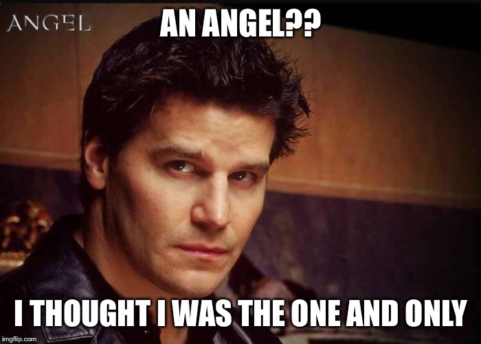 AN ANGEL?? I THOUGHT I WAS THE ONE AND ONLY | image tagged in buffy angel | made w/ Imgflip meme maker