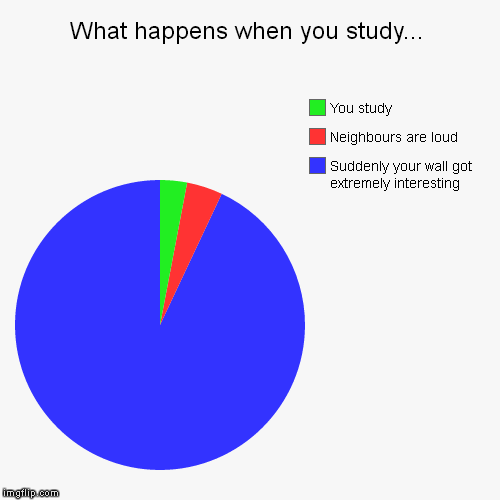I cry everytime... | image tagged in memes,funny,pie charts,studying | made w/ Imgflip chart maker