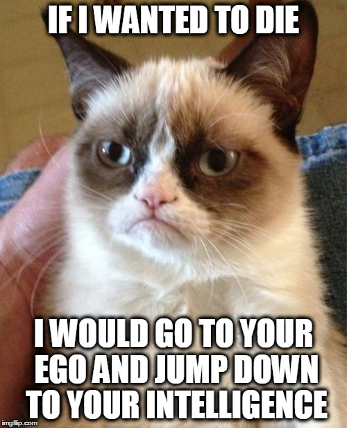 Grumpy Cat Meme | IF I WANTED TO DIE I WOULD GO TO YOUR EGO AND JUMP DOWN TO YOUR INTELLIGENCE | image tagged in memes,grumpy cat | made w/ Imgflip meme maker