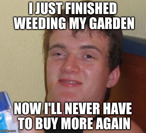 10 Guy | I JUST FINISHED WEEDING MY GARDEN NOW I'LL NEVER HAVE TO BUY MORE AGAIN | image tagged in memes,10 guy | made w/ Imgflip meme maker