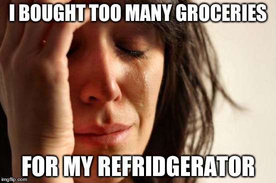 First World Problems | I BOUGHT TOO MANY GROCERIES FOR MY REFRIDGERATOR | image tagged in memes,first world problems | made w/ Imgflip meme maker