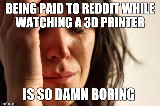 First World Problems | BEING PAID TO REDDIT WHILE WATCHING A 3D PRINTER IS SO DAMN BORING | image tagged in memes,first world problems | made w/ Imgflip meme maker