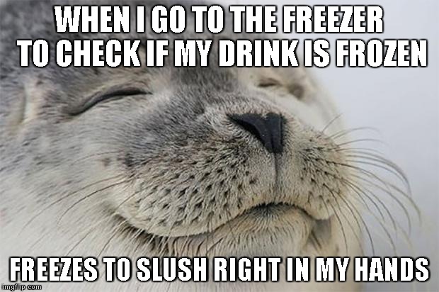 Satisfied Seal Meme | WHEN I GO TO THE FREEZER TO CHECK IF MY DRINK IS FROZEN FREEZES TO SLUSH RIGHT IN MY HANDS | image tagged in memes,satisfied seal | made w/ Imgflip meme maker