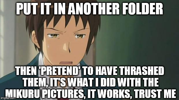 Kyon WTF | PUT IT IN ANOTHER FOLDER THEN 'PRETEND' TO HAVE THRASHED THEM, IT'S WHAT I DID WITH THE MIKURU PICTURES, IT WORKS, TRUST ME | image tagged in kyon wtf | made w/ Imgflip meme maker