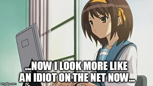 Haruhi Annoyed | ...NOW I LOOK MORE LIKE AN IDIOT ON THE NET NOW... | image tagged in haruhi annoyed | made w/ Imgflip meme maker
