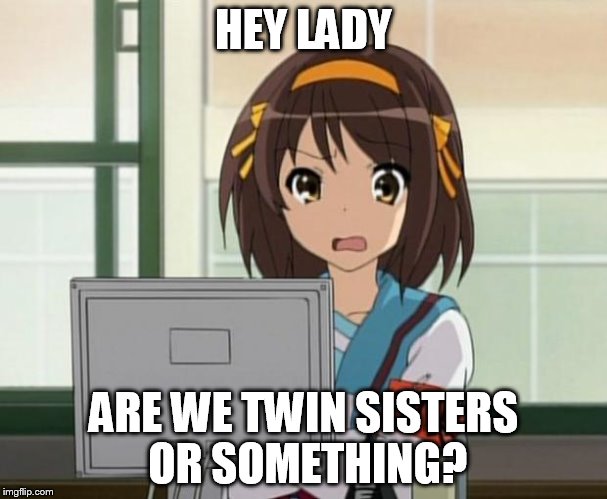 Haruhi Internet disturbed | HEY LADY ARE WE TWIN SISTERS OR SOMETHING? | image tagged in haruhi internet disturbed | made w/ Imgflip meme maker