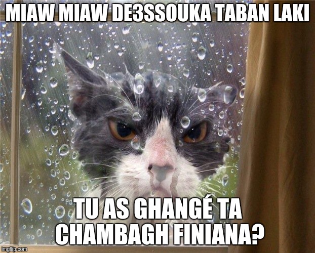 MIAW MIAW DE3SSOUKA TABAN LAKI TU AS GHANGÉ TA CHAMBAGH FINIANA? | made w/ Imgflip meme maker