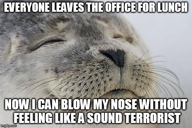 Satisfied Seal Meme | EVERYONE LEAVES THE OFFICE FOR LUNCH NOW I CAN BLOW MY NOSE WITHOUT FEELING LIKE A SOUND TERRORIST | image tagged in memes,satisfied seal | made w/ Imgflip meme maker