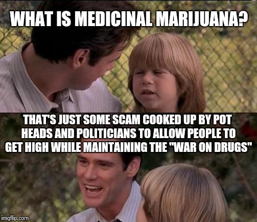 A system that requires you to lie to your doc to get high. Sounds like the prescription pill market. | WHAT IS MEDICINAL MARIJUANA? THAT'S JUST SOME SCAM COOKED UP BY POT HEADS AND POLITICIANS TO ALLOW PEOPLE TO GET HIGH WHILE MAINTAINING THE  | image tagged in memes,thats just something x say | made w/ Imgflip meme maker