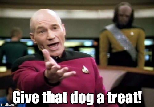 Picard Wtf Meme | Give that dog a treat! | image tagged in memes,picard wtf | made w/ Imgflip meme maker