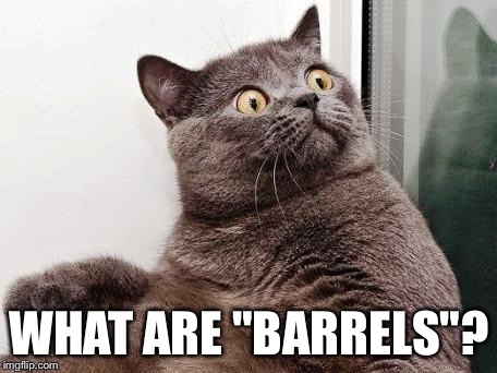 surprised cat | WHAT ARE "BARRELS"? | image tagged in surprised cat | made w/ Imgflip meme maker