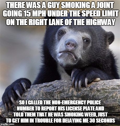 Confession Bear | THERE WAS A GUY SMOKING A JOINT GOING 15 MPH UNDER THE SPEED LIMIT ON THE RIGHT LANE OF THE HIGHWAY SO I CALLED THE NON-EMERGENCY POLICE NUM | image tagged in memes,confession bear | made w/ Imgflip meme maker