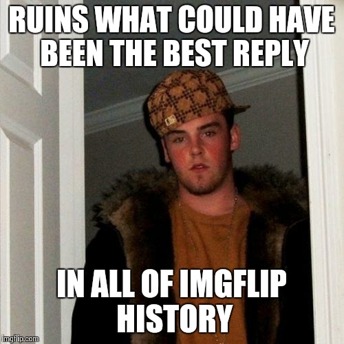 Scumbag Steve Meme | RUINS WHAT COULD HAVE BEEN THE BEST REPLY IN ALL OF IMGFLIP HISTORY | image tagged in memes,scumbag steve | made w/ Imgflip meme maker