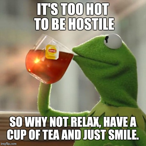 But That's None Of My Business | IT'S TOO HOT TO BE HOSTILE SO WHY NOT RELAX, HAVE A CUP OF TEA AND JUST SMILE. | image tagged in memes,but thats none of my business,kermit the frog | made w/ Imgflip meme maker