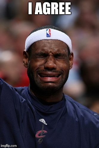 whiny lebron | I AGREE | image tagged in whiny lebron | made w/ Imgflip meme maker