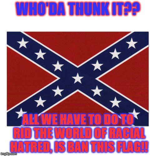 WHO'DA THUNK IT?? ALL WE HAVE TO DO TO RID THE WORLD OF RACIAL HATRED, IS BAN THIS FLAG!! | image tagged in con-flag | made w/ Imgflip meme maker