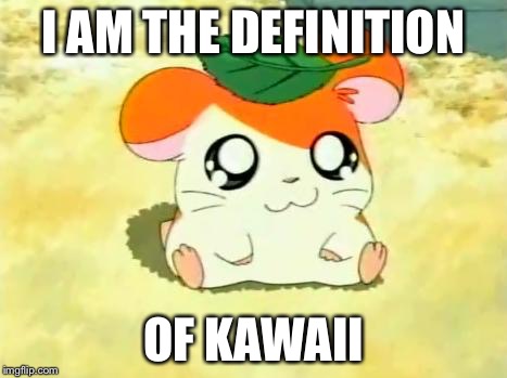 Hamtaro | I AM THE DEFINITION OF KAWAII | image tagged in memes,hamtaro | made w/ Imgflip meme maker