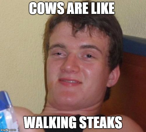 10 Guy | COWS ARE LIKE WALKING STEAKS | image tagged in memes,10 guy | made w/ Imgflip meme maker