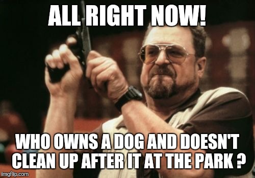 Doggy do doggy don't.. | ALL RIGHT NOW! WHO OWNS A DOG AND DOESN'T CLEAN UP AFTER IT AT THE PARK ? | image tagged in memes,dog,poo | made w/ Imgflip meme maker