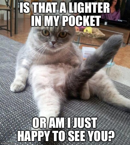 Sexy Cat Meme | IS THAT A LIGHTER IN MY POCKET OR AM I JUST HAPPY TO SEE YOU? | image tagged in memes,sexy cat | made w/ Imgflip meme maker