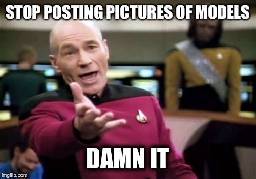 Picard Wtf | STOP POSTING PICTURES OF MODELS DAMN IT | image tagged in memes,picard wtf | made w/ Imgflip meme maker