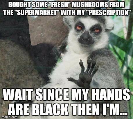 Stoner Lemur Meme | BOUGHT SOME "FRESH" MUSHROOMS FROM THE "SUPERMARKET" WITH MY "PRESCRIPTION" WAIT SINCE MY HANDS ARE BLACK THEN I'M... | image tagged in memes,stoner lemur | made w/ Imgflip meme maker