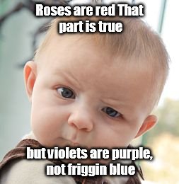 Skeptical Baby | Roses are red
That part is true but violets are purple, not friggin blue | image tagged in memes,skeptical baby | made w/ Imgflip meme maker