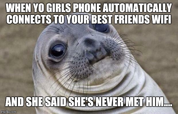 The Netflix will be off by tonight  | WHEN YO GIRLS PHONE AUTOMATICALLY CONNECTS TO YOUR BEST FRIENDS WIFI AND SHE SAID SHE'S NEVER MET HIM.... | image tagged in memes,awkward moment sealion | made w/ Imgflip meme maker